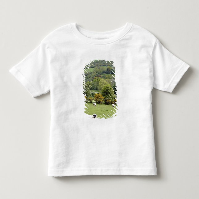 Camiseta De Bebé Irlanda occidental, península de Dingle, amplia (Anverso)