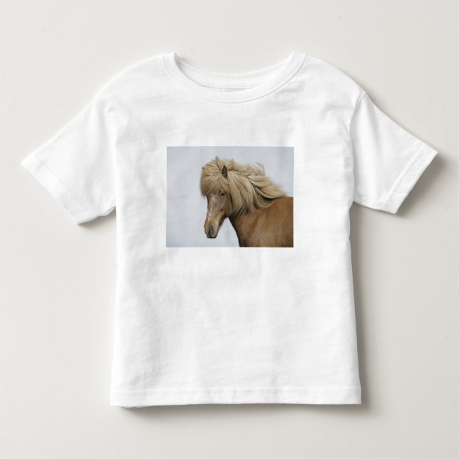 Camiseta De Bebé Islandia. Retrato de un caballo islandés. (Anverso)
