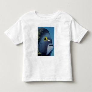 Camiseta De Bebé Islas Caimán, Angelfish Pomacanthus