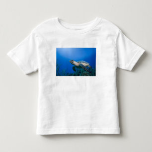 Camiseta De Bebé Islas Caimán, Little Cayman Island, Bajo el agua 2