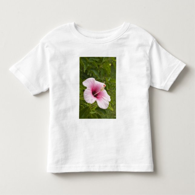 Camiseta De Bebé Islas Cook, Atiu. Flor hibiscus. (Anverso)
