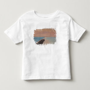Camiseta De Bebé Israel, Mar Muerto, Ein Bokek, Mar Muerto, anochec