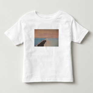 Camiseta De Bebé Israel, Mar Muerto, Ein Bokek, Mar Muerto, anochec