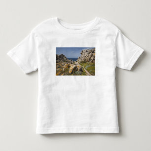 Camiseta De Bebé Italia, Cerdeña, Santa Teresa Gallura. Capo 2