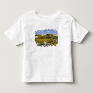 Camiseta De Bebé Italia, Cerdeña, Santa Teresa Gallura. Capo 3