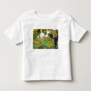 Camiseta De Bebé Italia, granja toscana vista