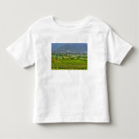 Italia, Lago de Garda. Las orillas del Lago de Gar