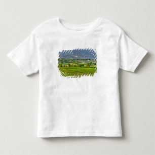 Camiseta De Bebé Italia, Lago de Garda. Las orillas del Lago de Gar