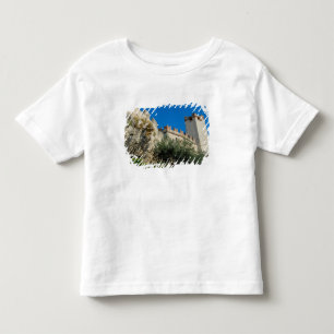 Camiseta De Bebé Italia, Malcesine, Lago de Garda, Castillo Scalige
