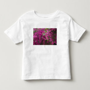 Camiseta De Bebé Italia, Sicilia, Cefalú, Patio Florido por