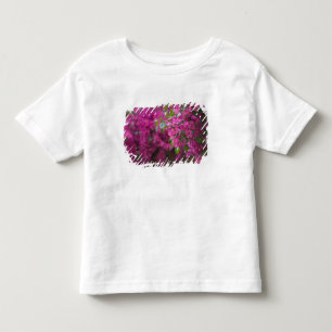 Camiseta De Bebé Italia, Sicilia, Cefalù, Patio Florido por