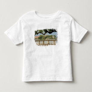 Camiseta De Bebé Italia, Stresa, Lago Mayor, Isola Bella