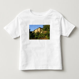 Camiseta De Bebé Italia, Toscana, Greve. Escenas vinícolas de final