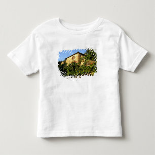 Camiseta De Bebé Italia, Toscana, Greve. Escenas vinícolas de final