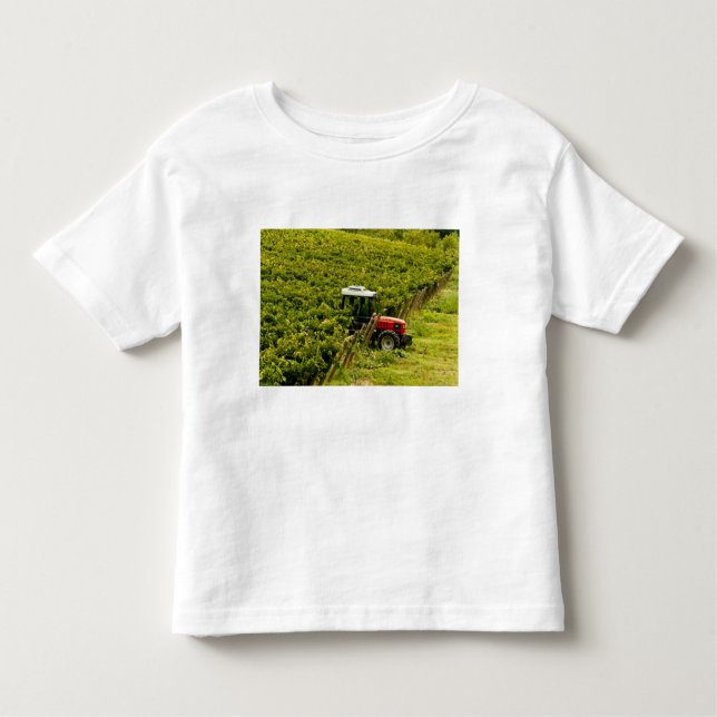 Camiseta De Bebé Italia, Toscana, Greve. Pickers trabajando durante (Anverso)