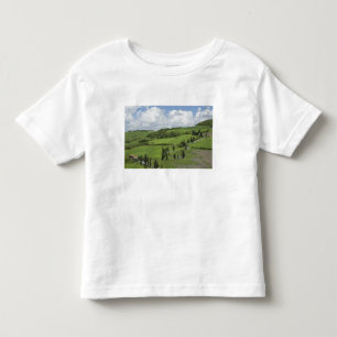 Camiseta De Bebé Italia, Toscana. La Foce. Un camino curvado serpen