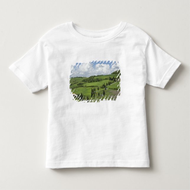 Camiseta De Bebé Italia, Toscana. La Foce. Un camino curvado serpen (Anverso)