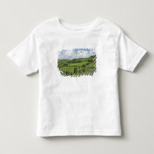 Camiseta De Bebé Italia, Toscana. La Foce. Una carretera curva sube