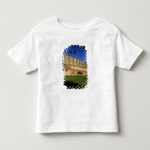 Camiseta De Bebé Italia: Toscana, Massa Marittima, San Galgano