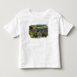 Camiseta De Bebé Italia, Toscana. Vista de la villa en la azotea