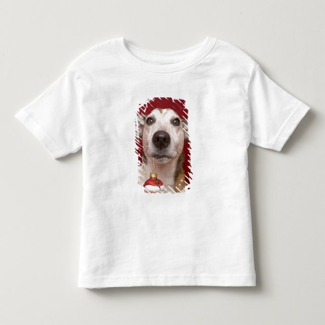 Camiseta De Bebé Jack Russell Terrier que sostiene el ornamento del (Anverso)
