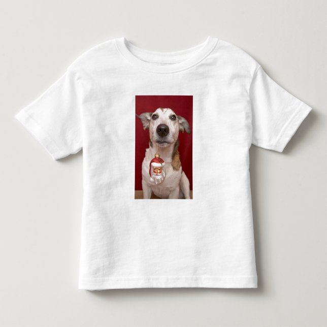 Camiseta De Bebé Jack Russell Terrier que sostiene el ornamento del (Anverso)