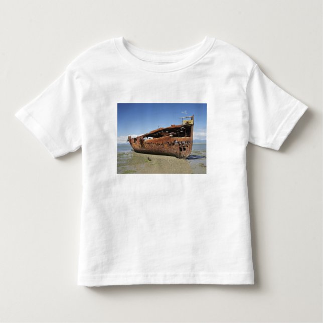 Camiseta De Bebé Janie Seddon Shipwreck, Motueka, Nelson (Anverso)
