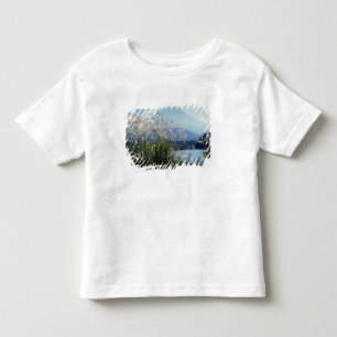 Camiseta De Bebé Japón, Honshu, Pref. de Yamanashi, Fuji-Hakone-Izu