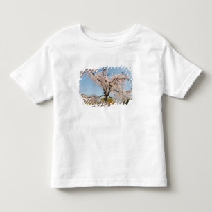 Camiseta De Bebé Japón, Kyoto. Cerezo llorón bajo cielo azul