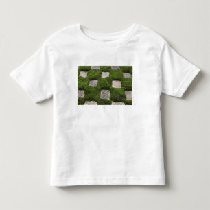 Camiseta De Bebé Japón, Kyoto, Templo Tofukuji, Jardín