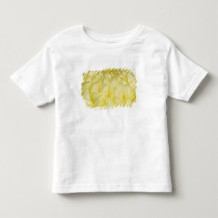 Camiseta De Bebé Japón, Mie, Santuario de Ise, Crisantemo