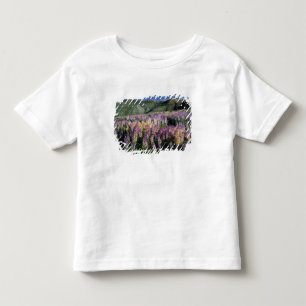 Camiseta De Bebé JARBIDGE WILDERNESS, NEVADA. EE.UU. Llupino