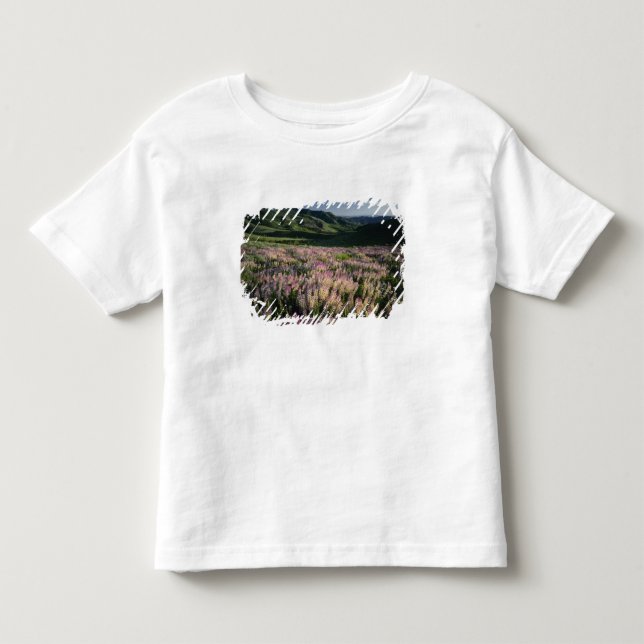 Camiseta De Bebé Jarbridge Wilderness y montañas, Nevada, espolón (Anverso)