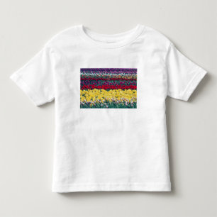 Camiseta De Bebé jardín de exhibición de tulipanes en el condado de