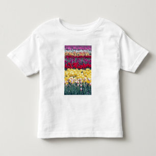 Camiseta De Bebé jardín de exhibición de tulipanes en el valle de S