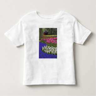 Camiseta De Bebé Jardín de jacinto, jacinto y tulipano de uva,