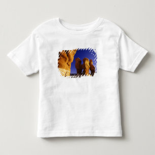Camiseta De Bebé Jardín de los Duendes en el Gran Escalante