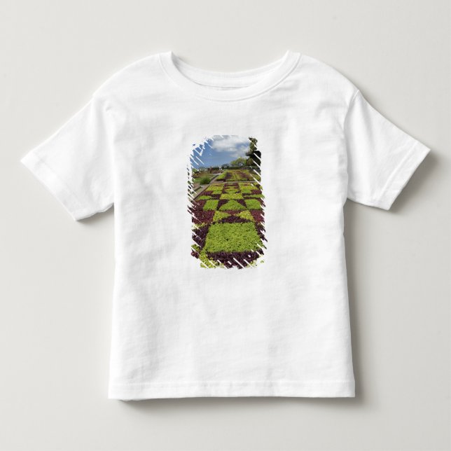 Camiseta De Bebé Jardines Botánicos, Funchal, Islas Madeira, (Anverso)