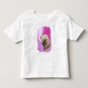 Camiseta De Bebé Jardines Keukenhof, Holanda, se especializa en 3