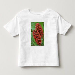 Camiseta De Bebé Jengibre Colmena, Zingiber spectabile),