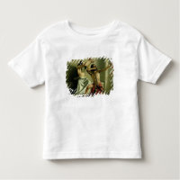 Joash que tira la flecha de la liberación, 1844