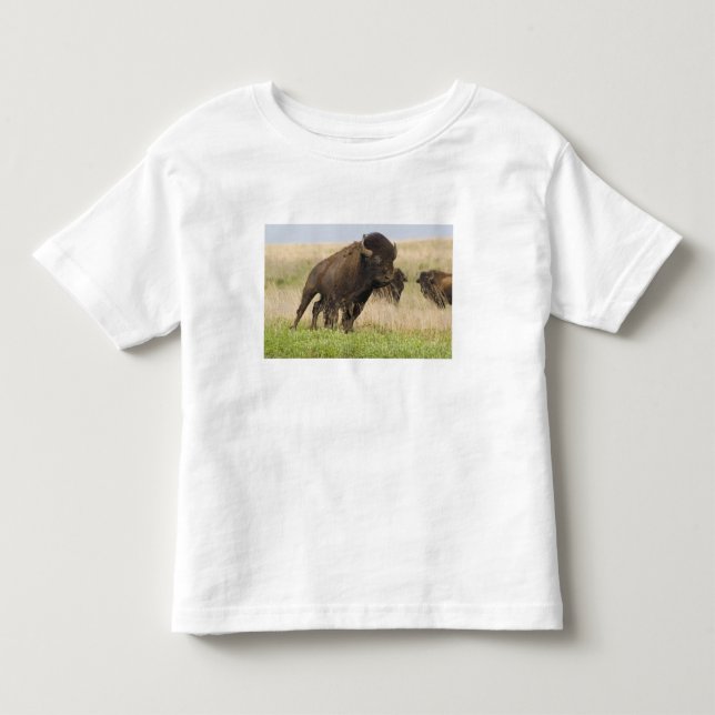 Camiseta De Bebé Joven toro de bisonte fogoso en Tallgrass (Anverso)