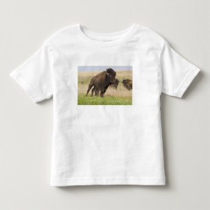 Camiseta De Bebé Joven y quisquilloso de bisonte en el pasto alto