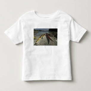 Camiseta De Bebé Kayaks en la isla Dicebox, grupo Broken Island,