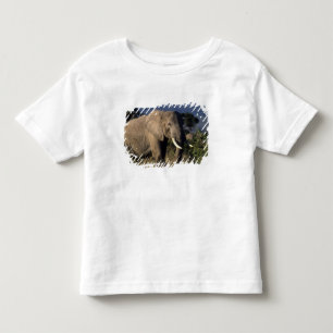 Camiseta De Bebé Kenia: Amboseli, elefante africano macho