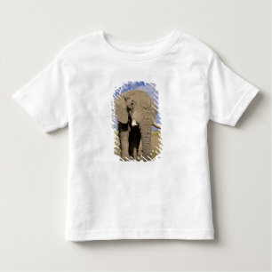 Camiseta De Bebé Kenia: Parque Nacional Amboseli, elefante masculin
