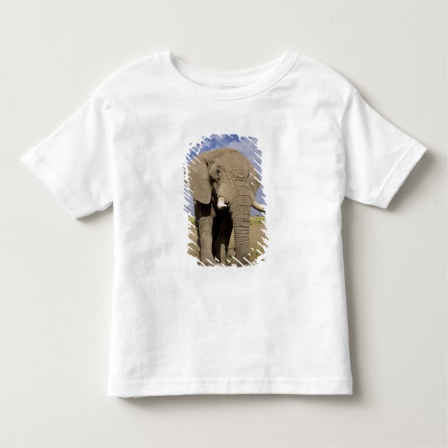 Camiseta De Bebé Kenia: Parque Nacional Amboseli, elefante masculin (Anverso)