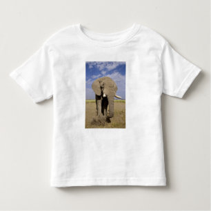 Camiseta De Bebé Kenia: Parque Nacional Amboseli, elefante masculin