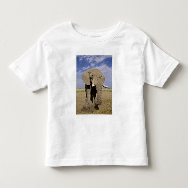 Camiseta De Bebé Kenia: Parque Nacional Amboseli, elefante masculin (Anverso)