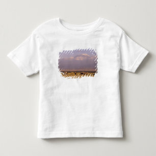 Camiseta De Bebé Kenia: Parque Nacional de Amboseli, Elefantes